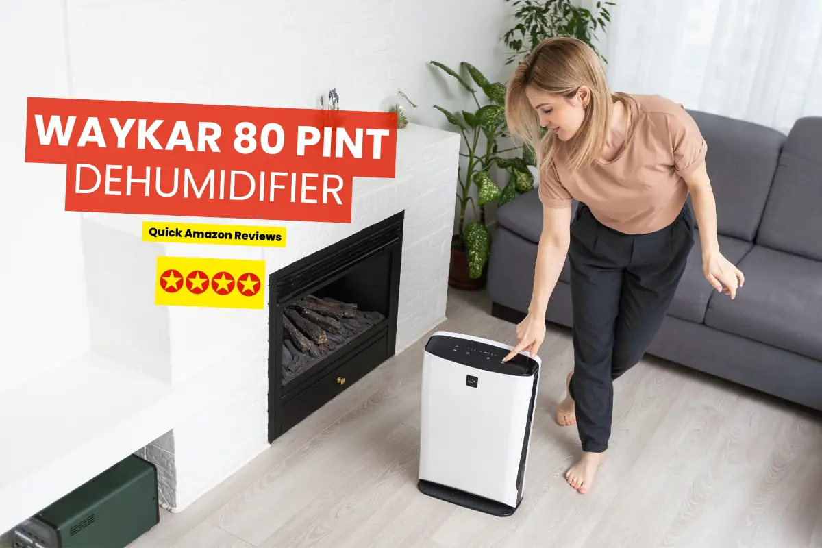Waykar dehumidifier in room